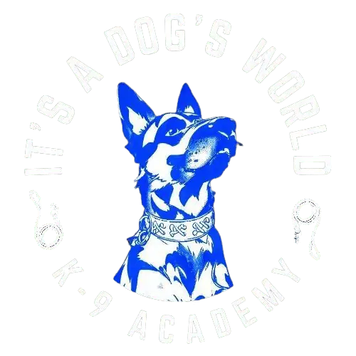 It's A Dog's World K-9 Academy