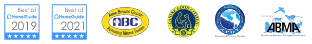 Dog training certifications