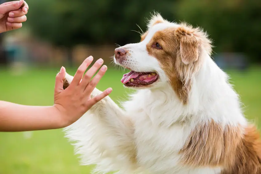 BEHAVIOR MODIFICATION