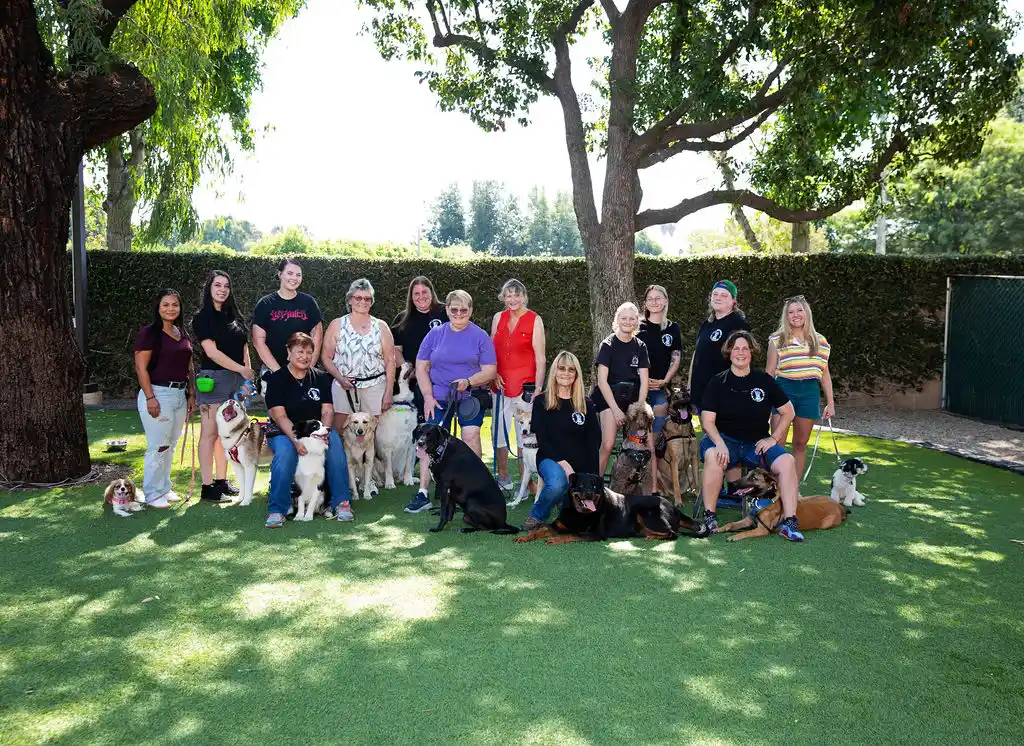 It's A Dog's World staff and clients after class