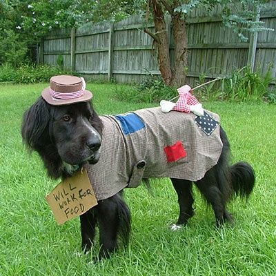 Frighteningly Fabulous Halloween Costumes - Its A Dogs World